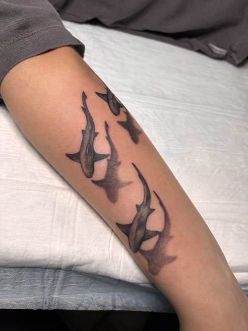 Black and grey sharks tattoo on an arm